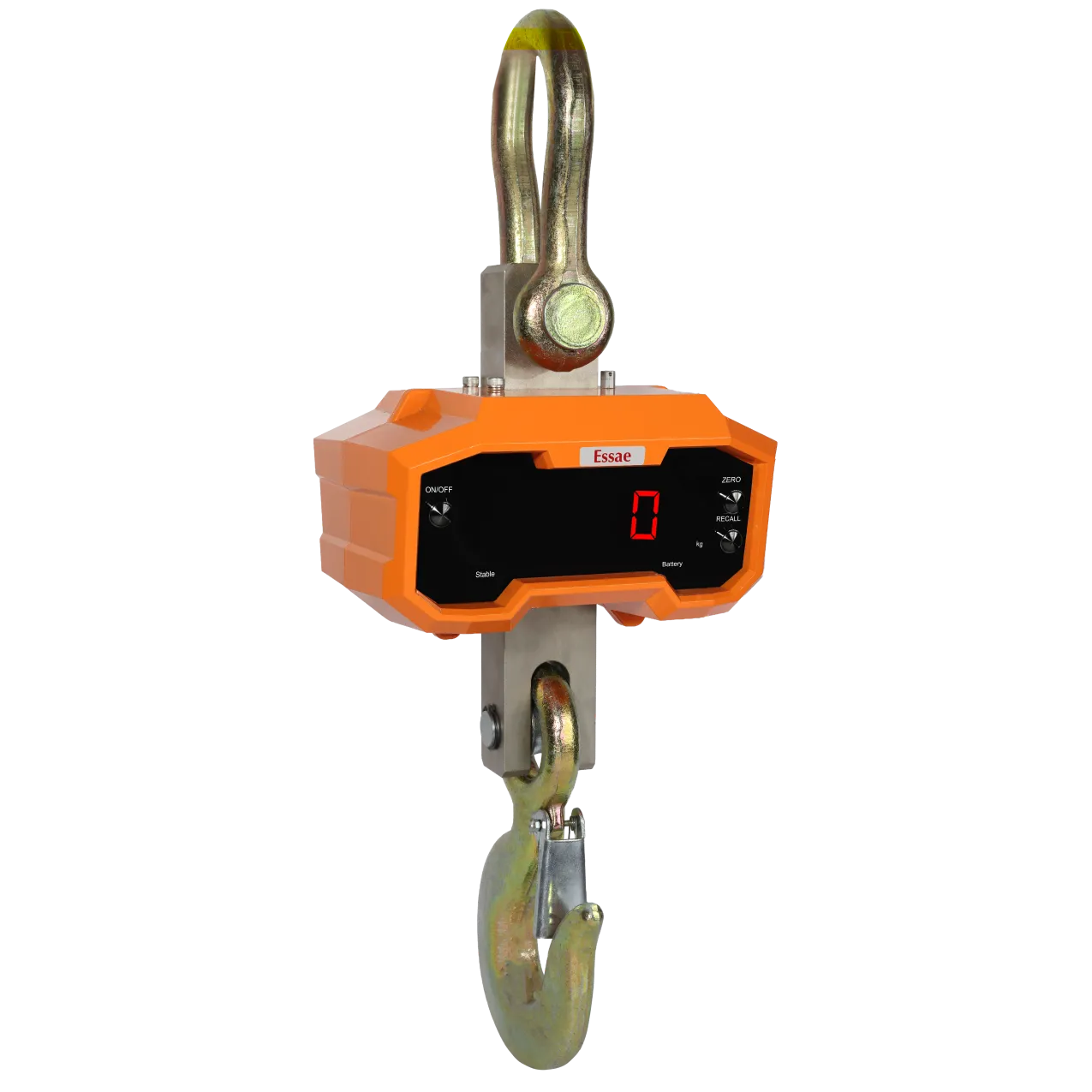 DS-350 Crane scale new2