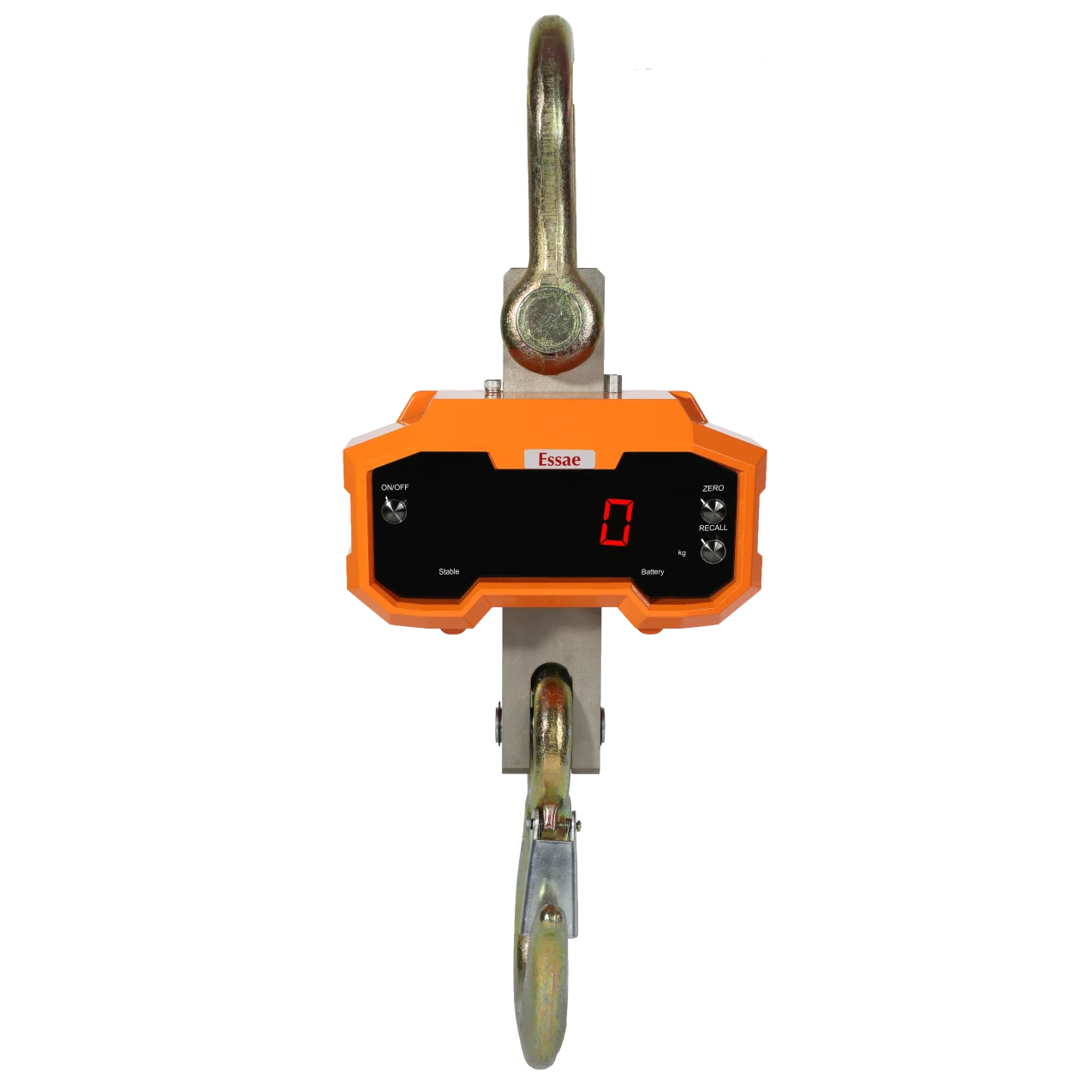 DS-350 Crane scale new3